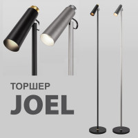    Joel