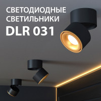 DLR031