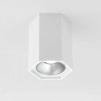    25036/LED 