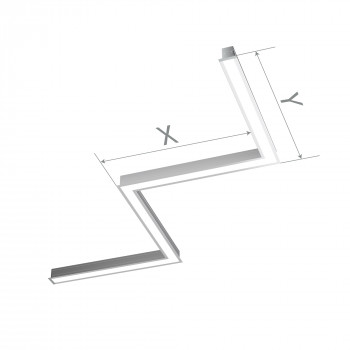    section 