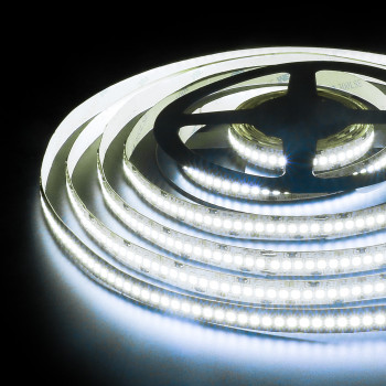   240Led 16W IP65 6500K   (2835 24V 240Led 16W IP65)