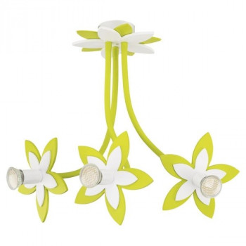   Flowers 6898