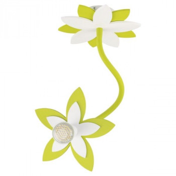   Flowers 6897