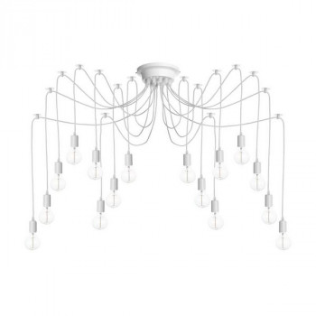    Spider LOFT1162W/16