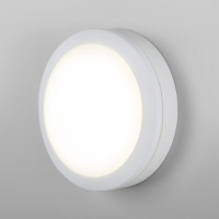 Пылевлагозащищенный светодиодный светильник Elektrostandard  LTB51 LED Светильник 15W 6500K Белый