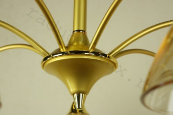 ������ Florex International 0146/7PL OM