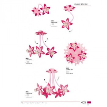    Flowers 6894
